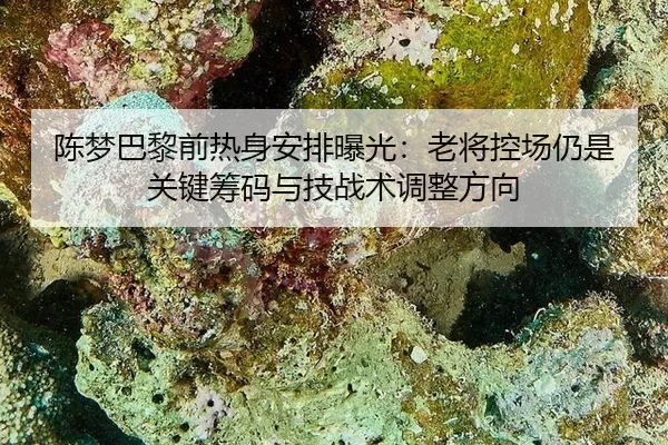 chen-meng-ba-li-qian-re-shen-an-pai-bao-guang-lao-jiang-kong-chang-reng-shi-guan-jian-chou-ma-yu-ji-zhan-shu-tiao-zheng-2-257.jpg